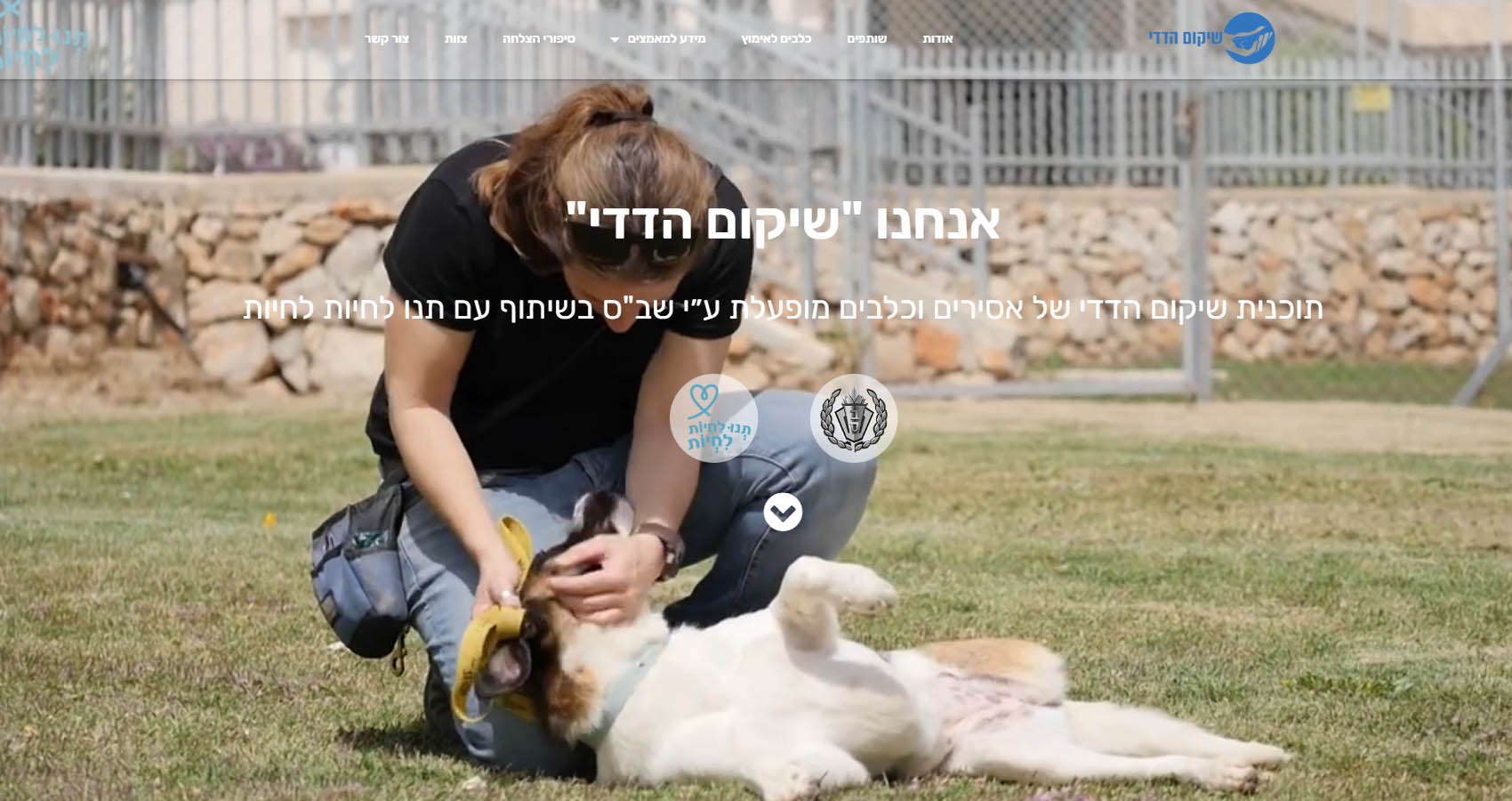 שיקום הדדי - עמוד הבית